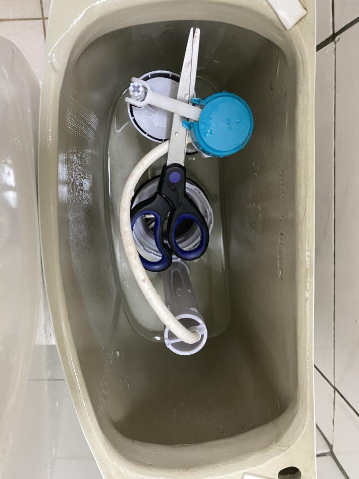 馬桶裝修案件圖片