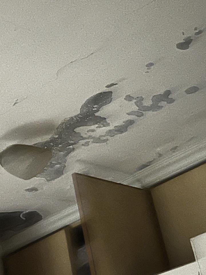 壁癌處理案件圖片