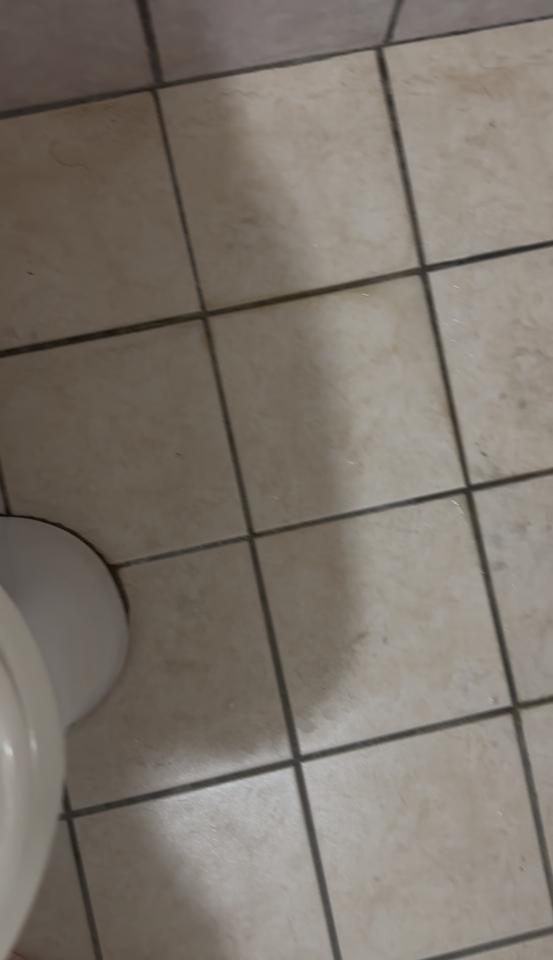 馬桶裝修案件圖片