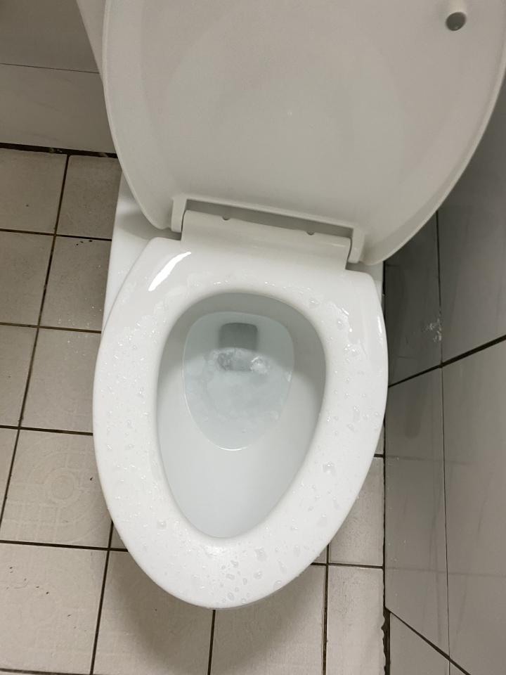 馬桶裝修案件圖片