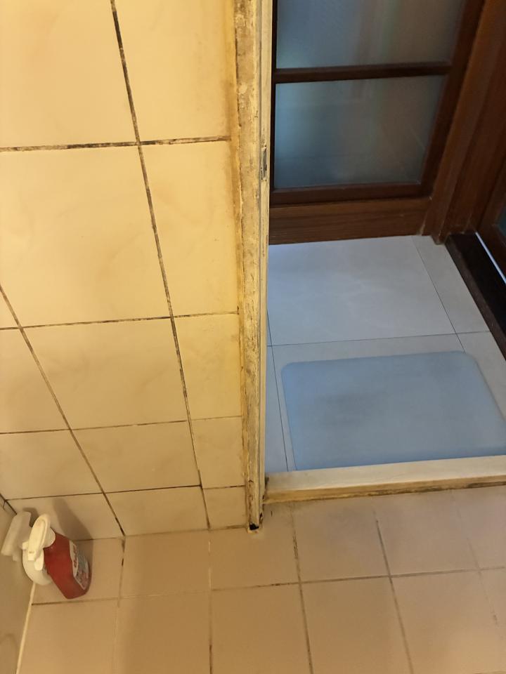 浴室翻新案件圖片