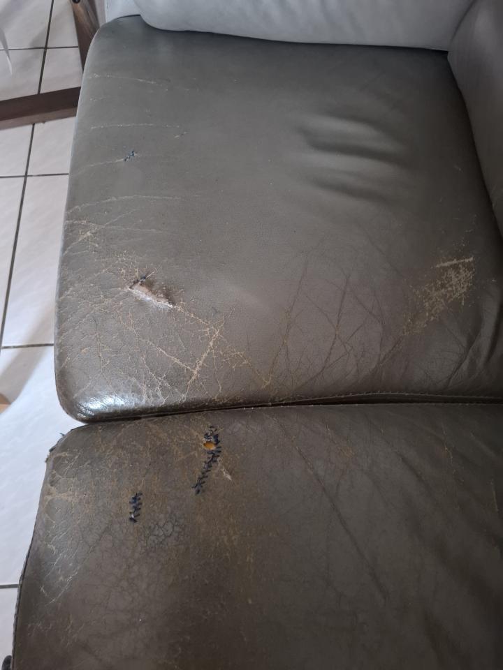 沙發修理案件圖片