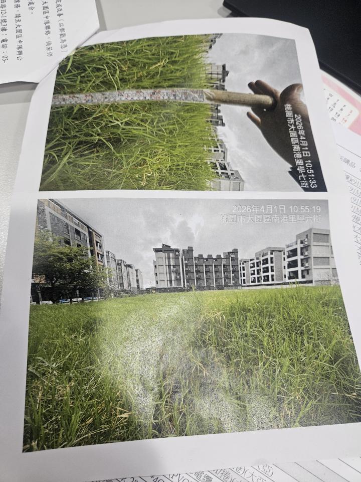 園藝維護案件圖片