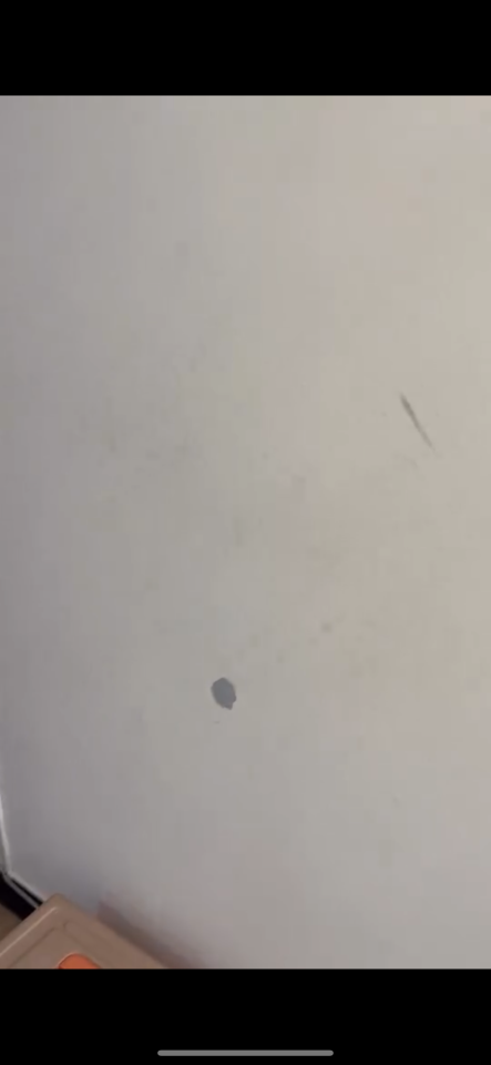 油漆工程案件圖片