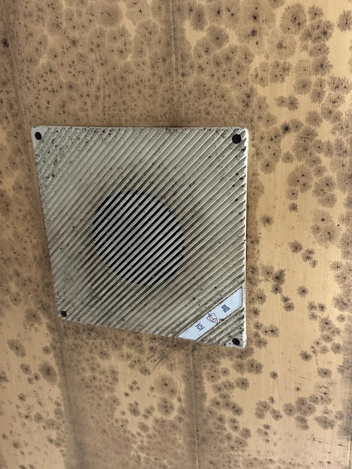 浴室抽風機清潔案件圖片