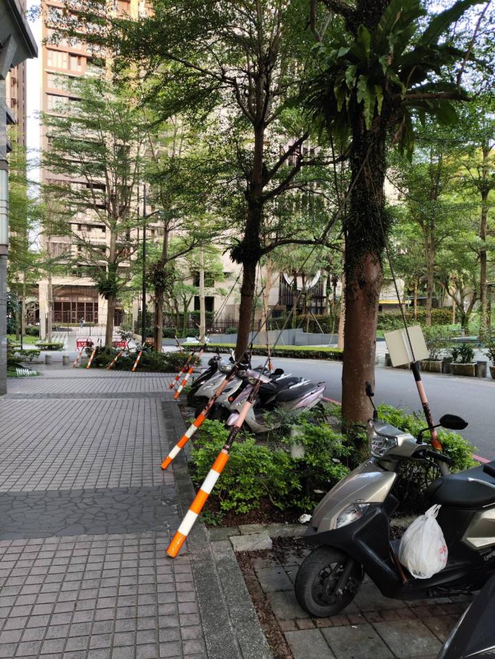 園藝維護案件圖片