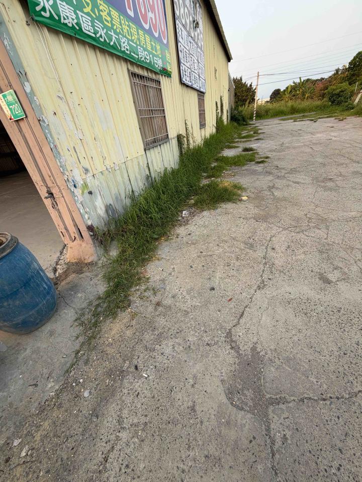 園藝維護案件圖片