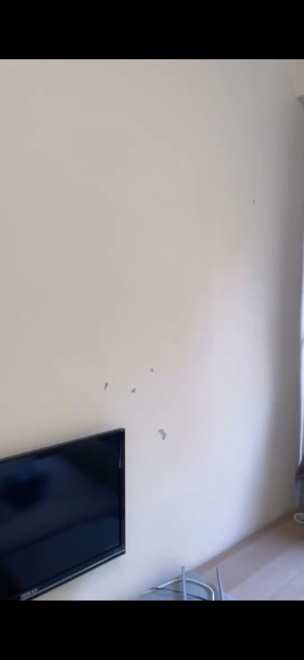 油漆工程案件圖片