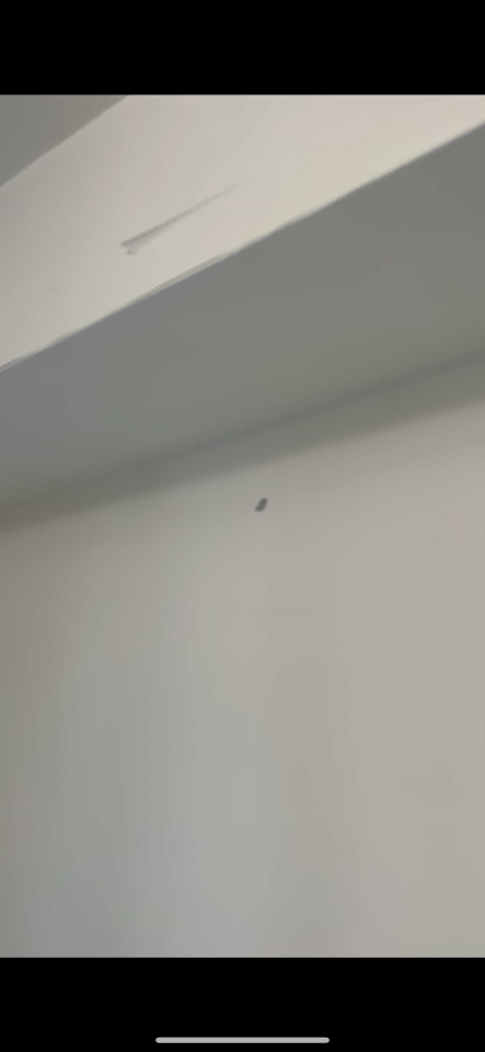 油漆工程案件圖片