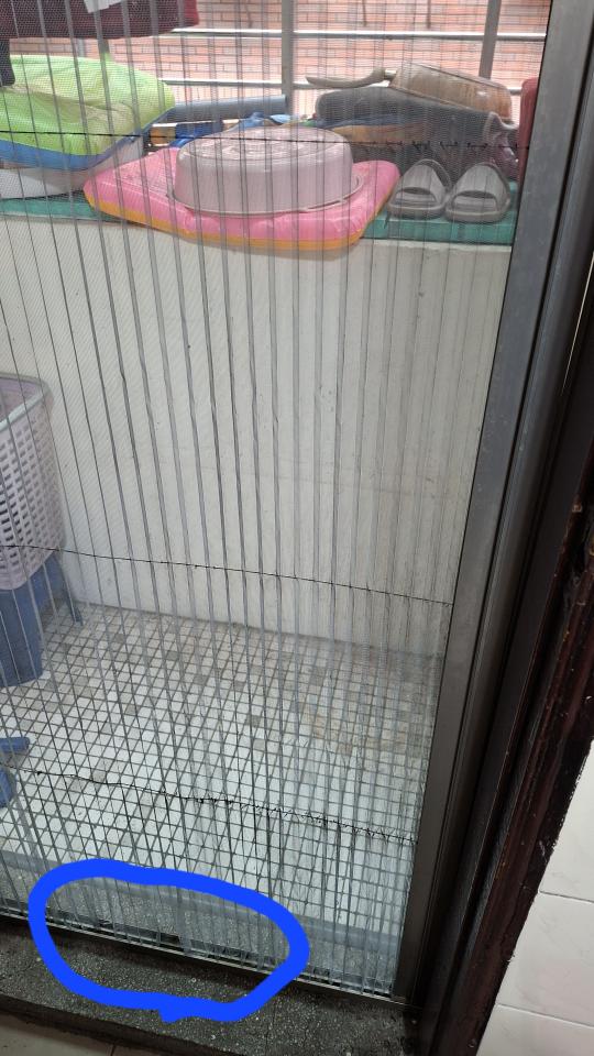 紗窗裝修案件圖片