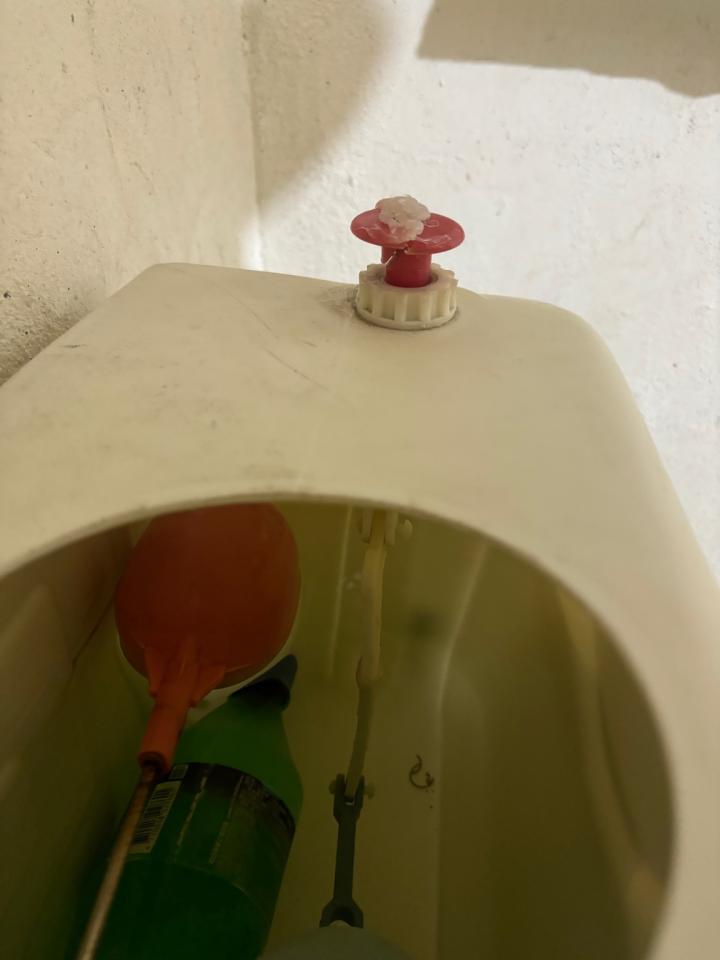 馬桶裝修案件圖片