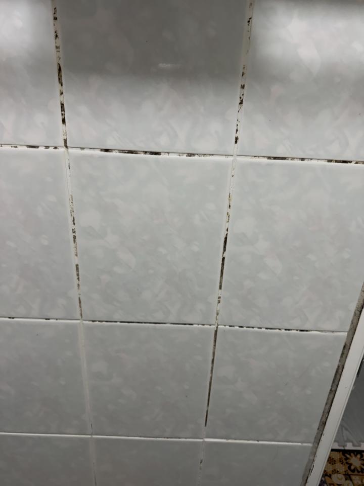 浴室除霉清潔案件圖片