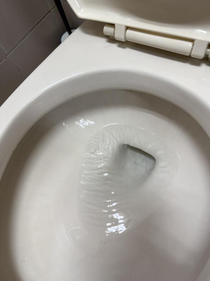 馬桶裝修案件圖片