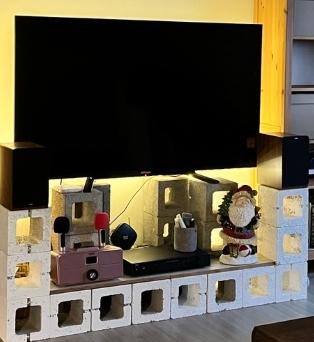 大型垃圾回收案件圖片