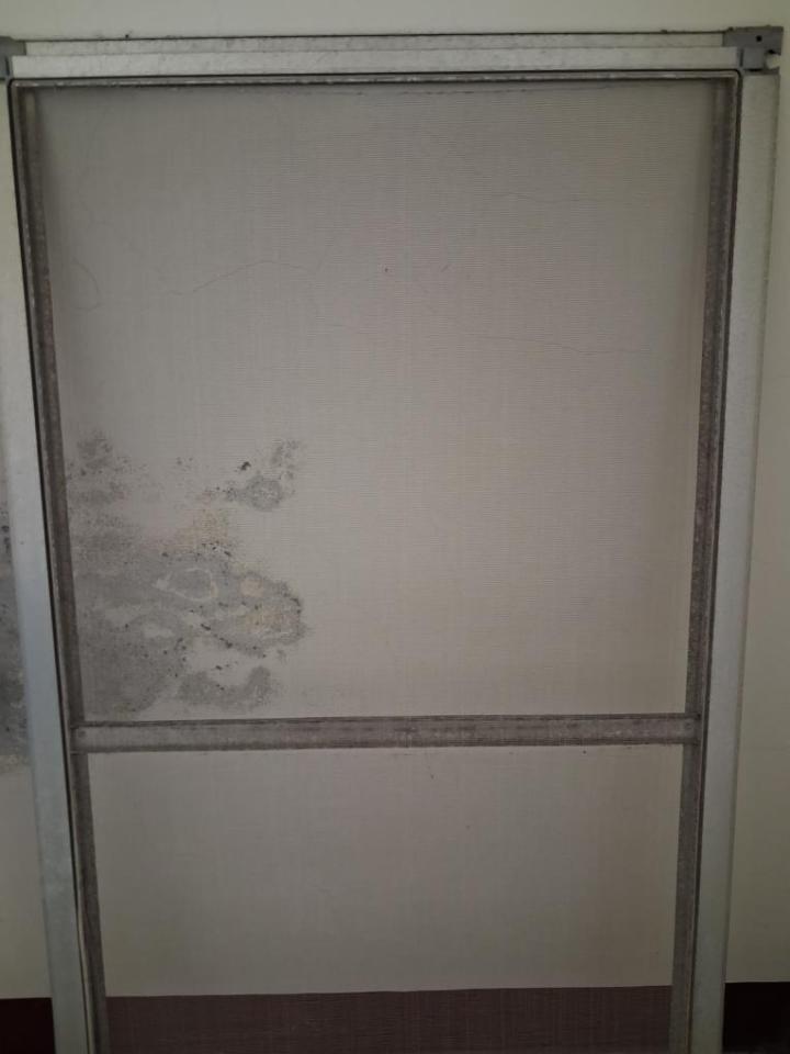 紗窗裝修案件圖片