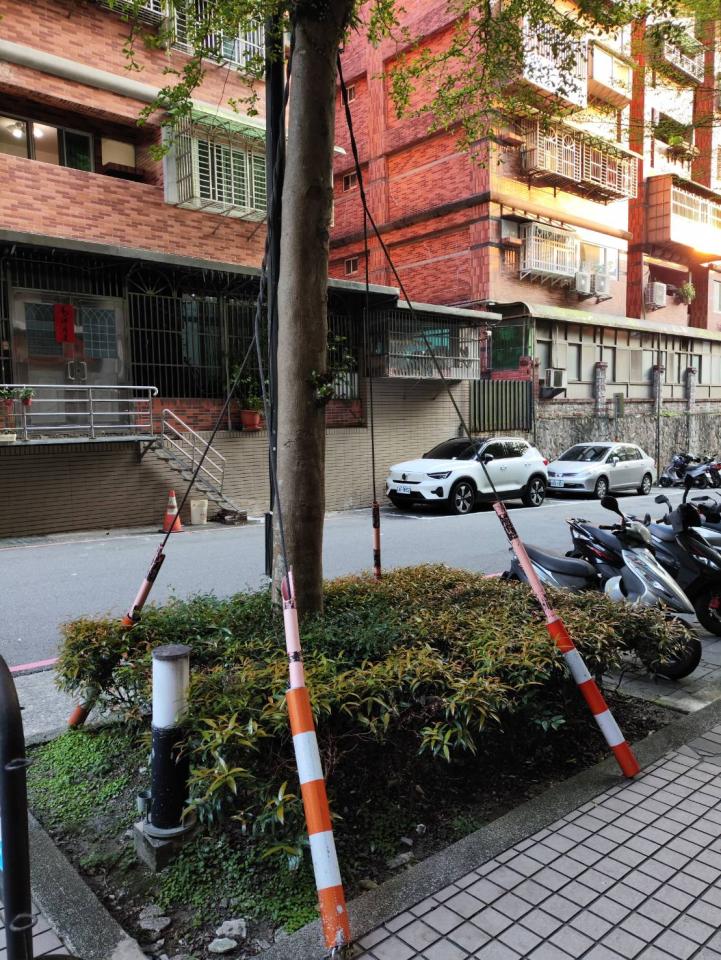 園藝維護案件圖片