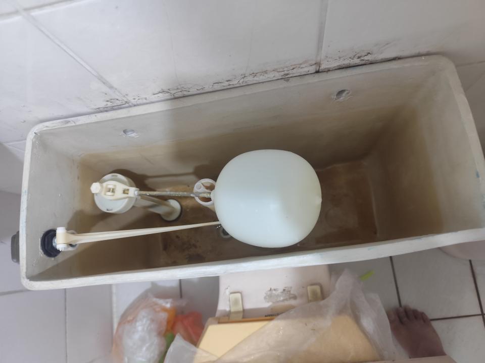 馬桶裝修案件圖片