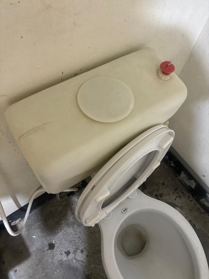 馬桶裝修案件圖片