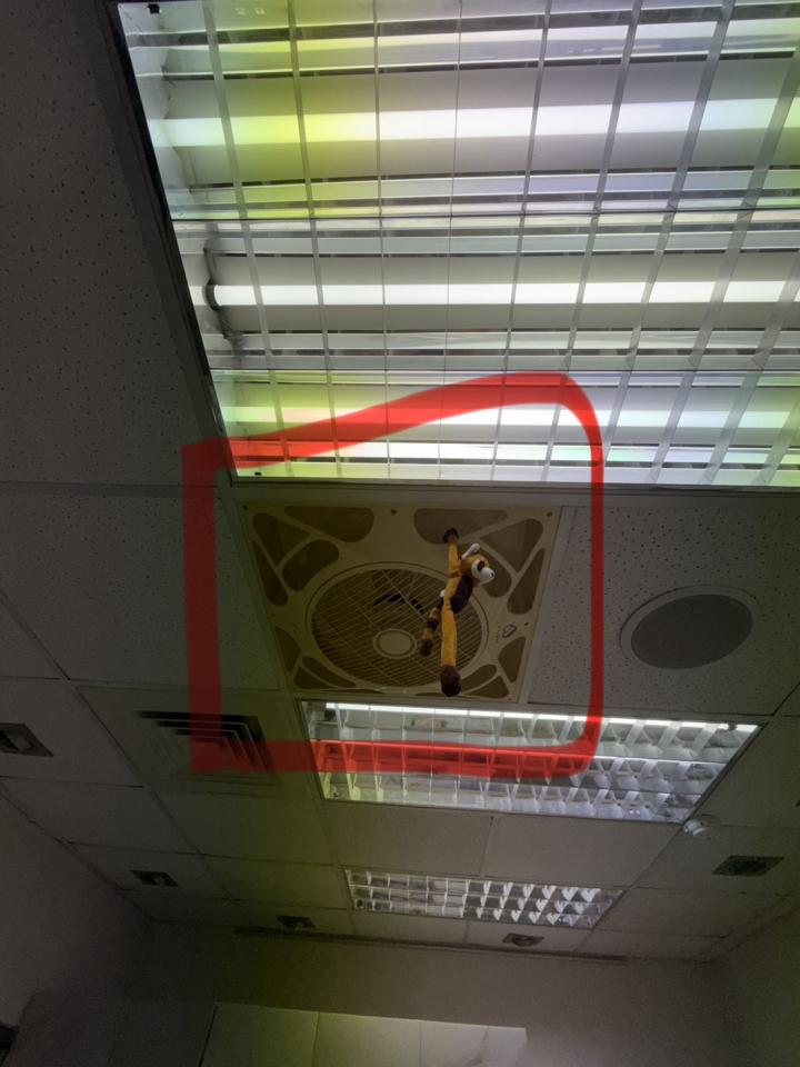 循環扇安裝案件圖片