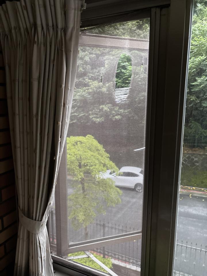 紗窗裝修案件圖片