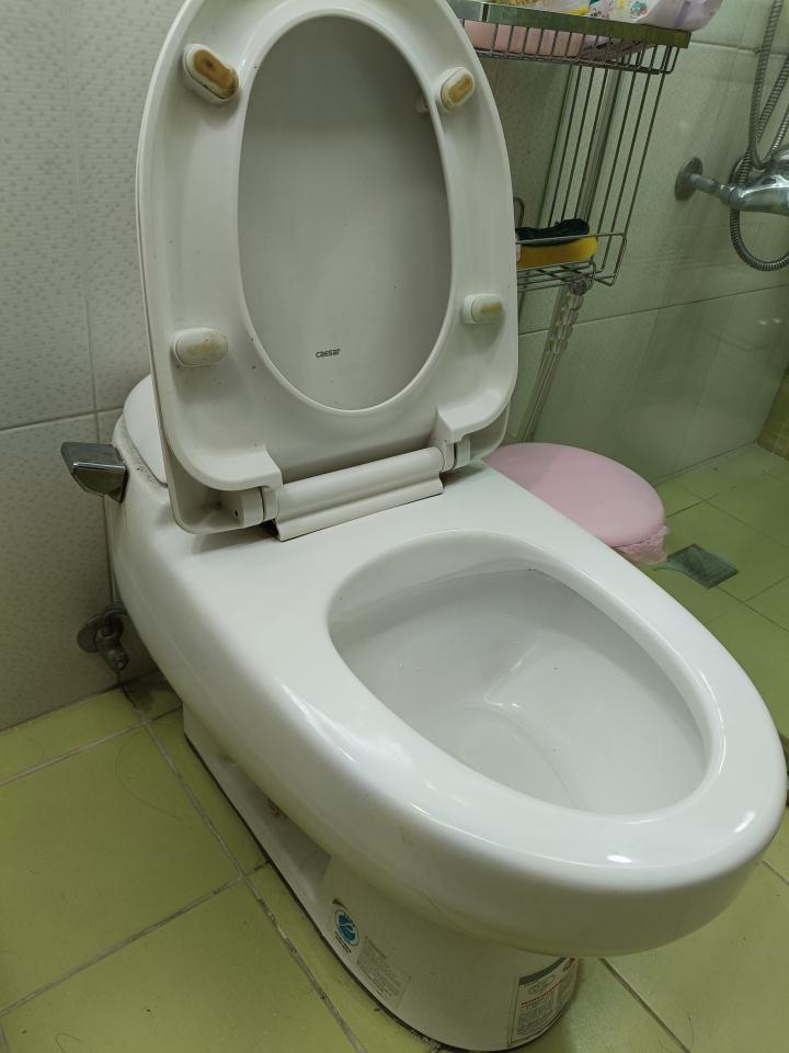 馬桶裝修案件圖片