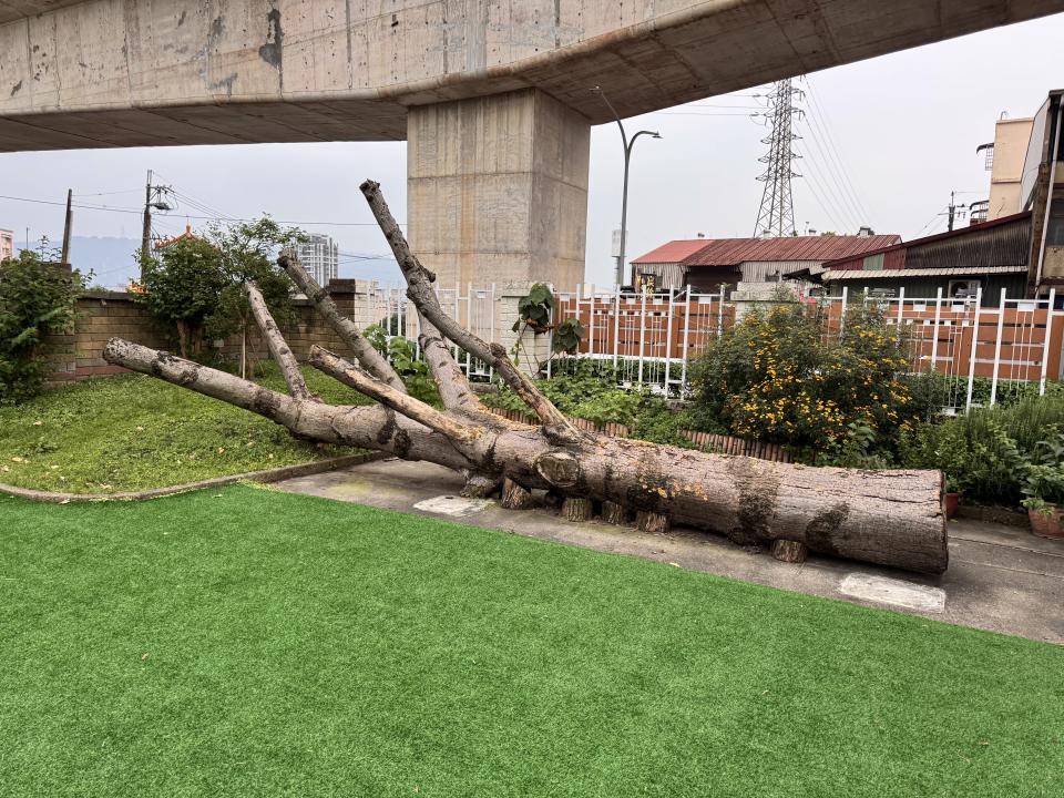 園藝維護案件圖片