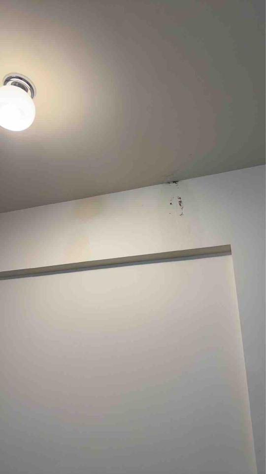 屋頂防水案件圖片