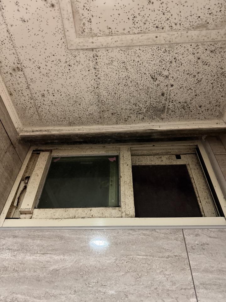 浴室清潔案件圖片