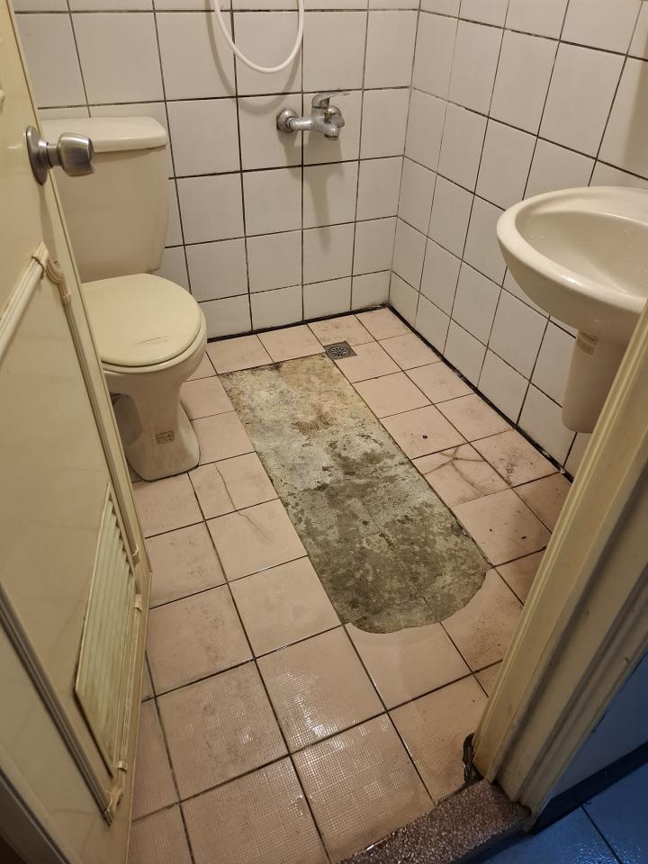 泥作/水泥施工案件圖片