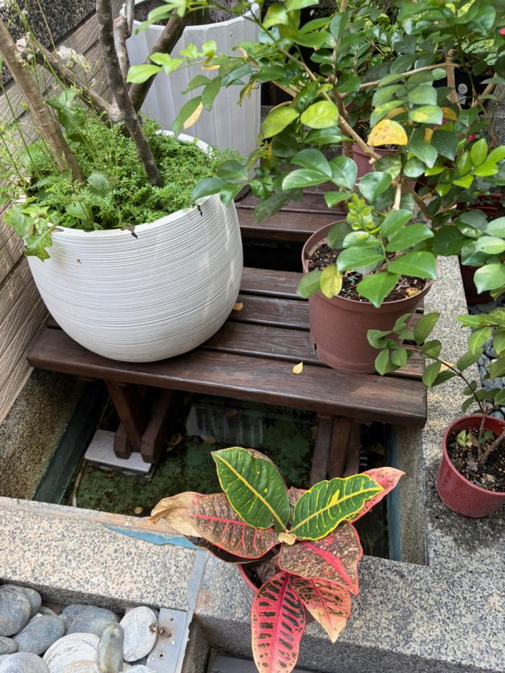 泥作/水泥施工案件圖片