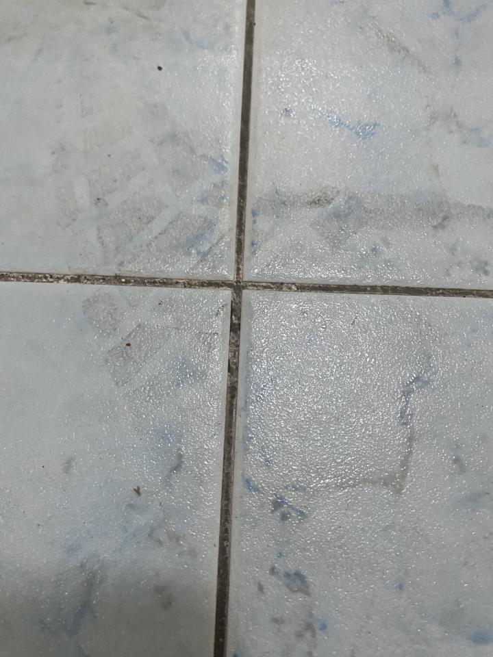 泥作/水泥施工案件圖片