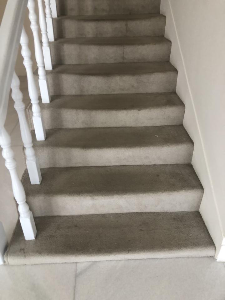 地毯訂製案件圖片