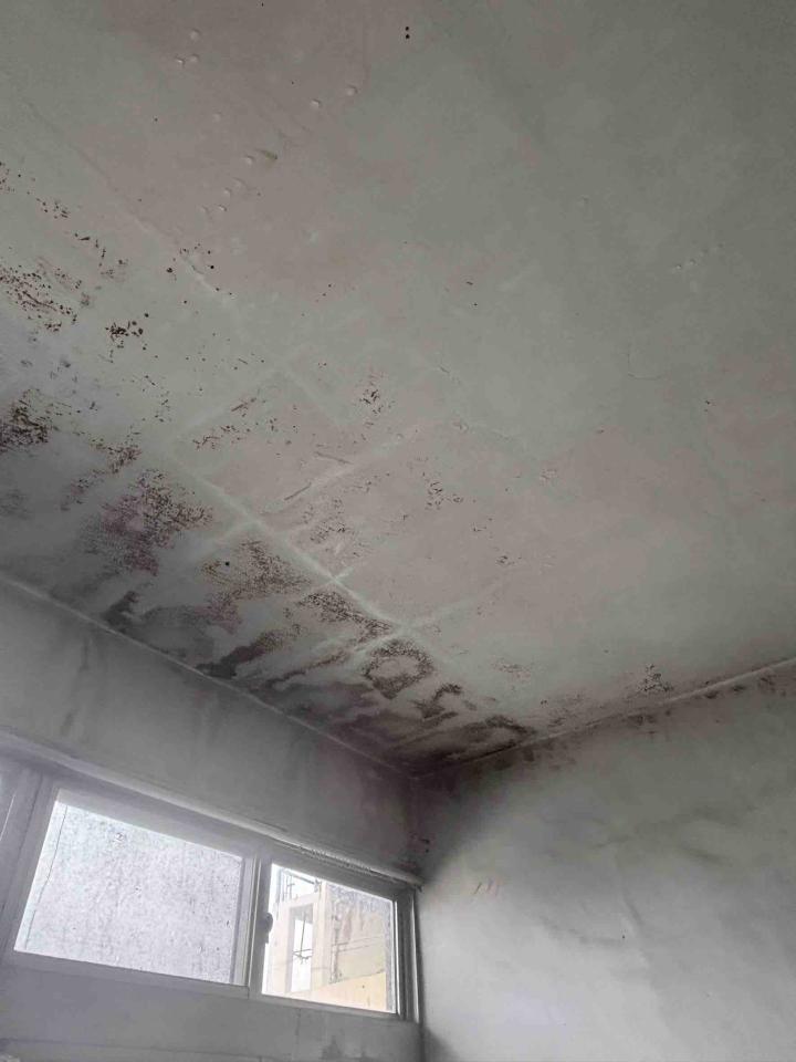 屋頂防水案件圖片