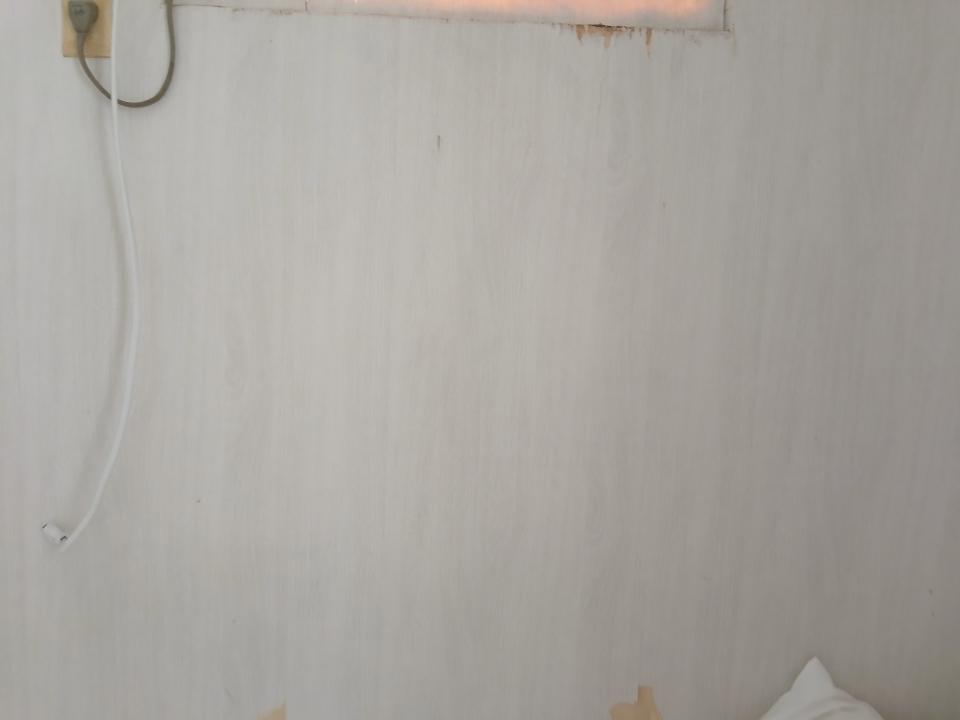 壁紙施工案件圖片