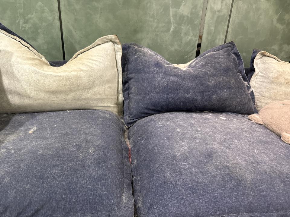 沙發清潔案件圖片