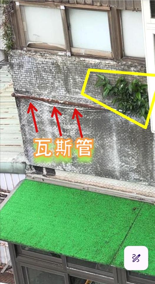 園藝維護案件圖片