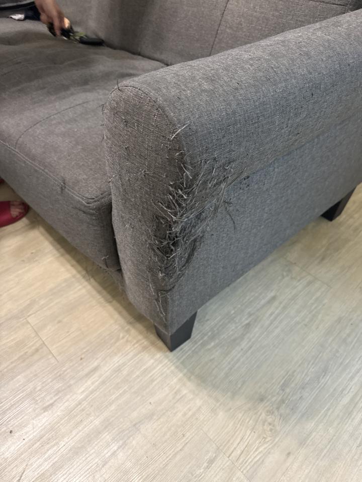 沙發修理案件圖片