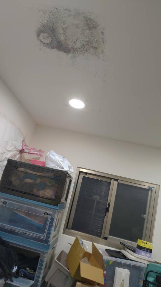 漏水處理案件圖片