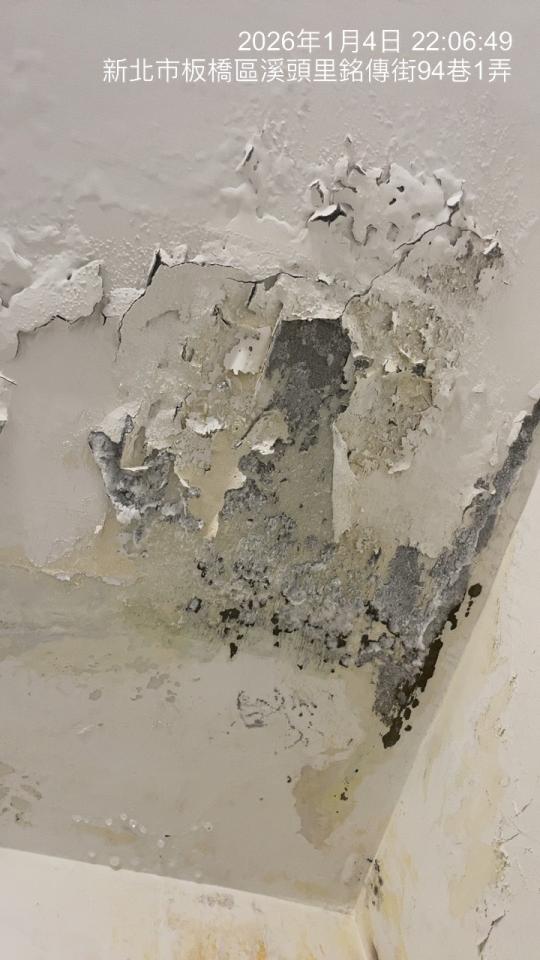 油漆工程案件圖片