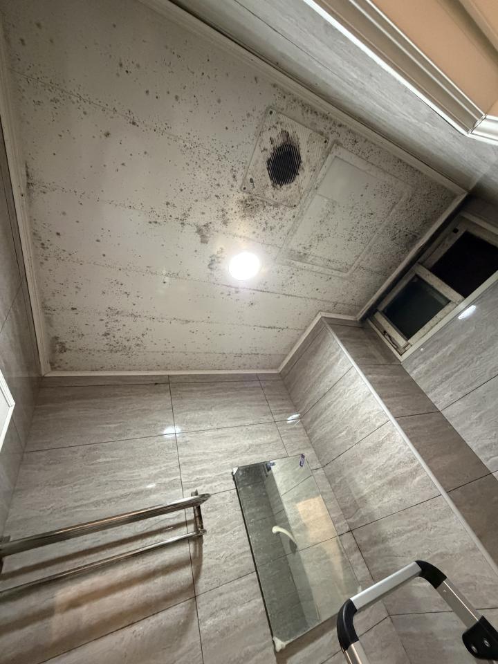 浴室清潔案件圖片