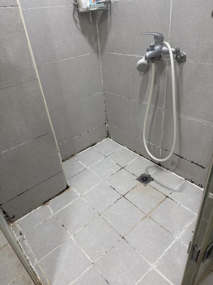 浴室除霉清潔案件圖片