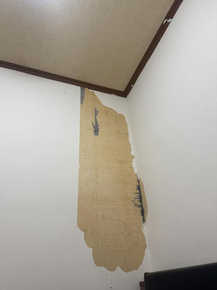 壁紙清除案件圖片