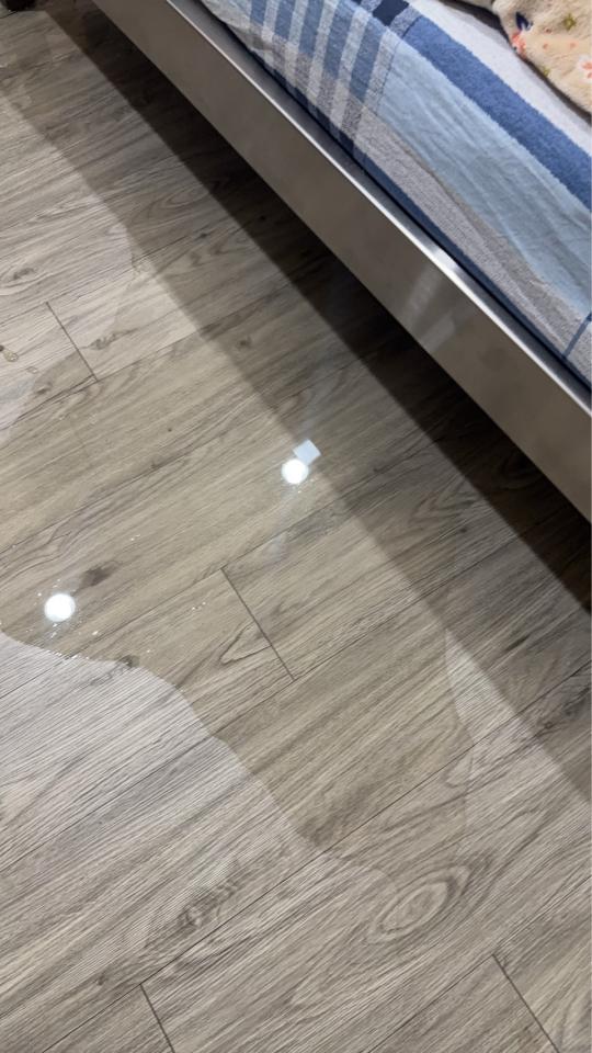 漏水處理案件圖片