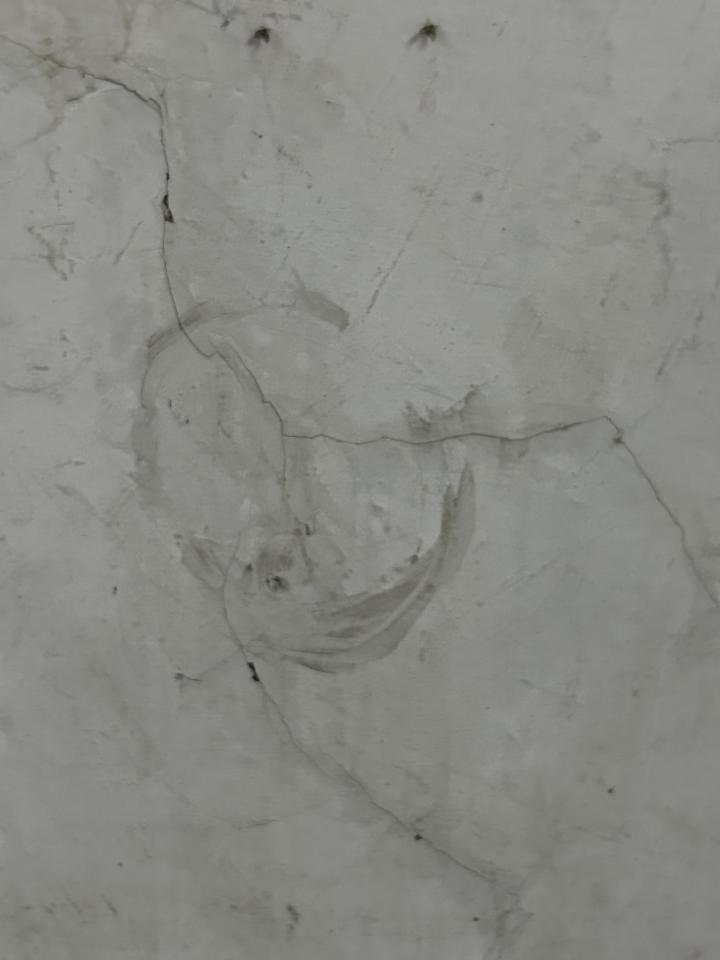 水塔漏水維修案件圖片