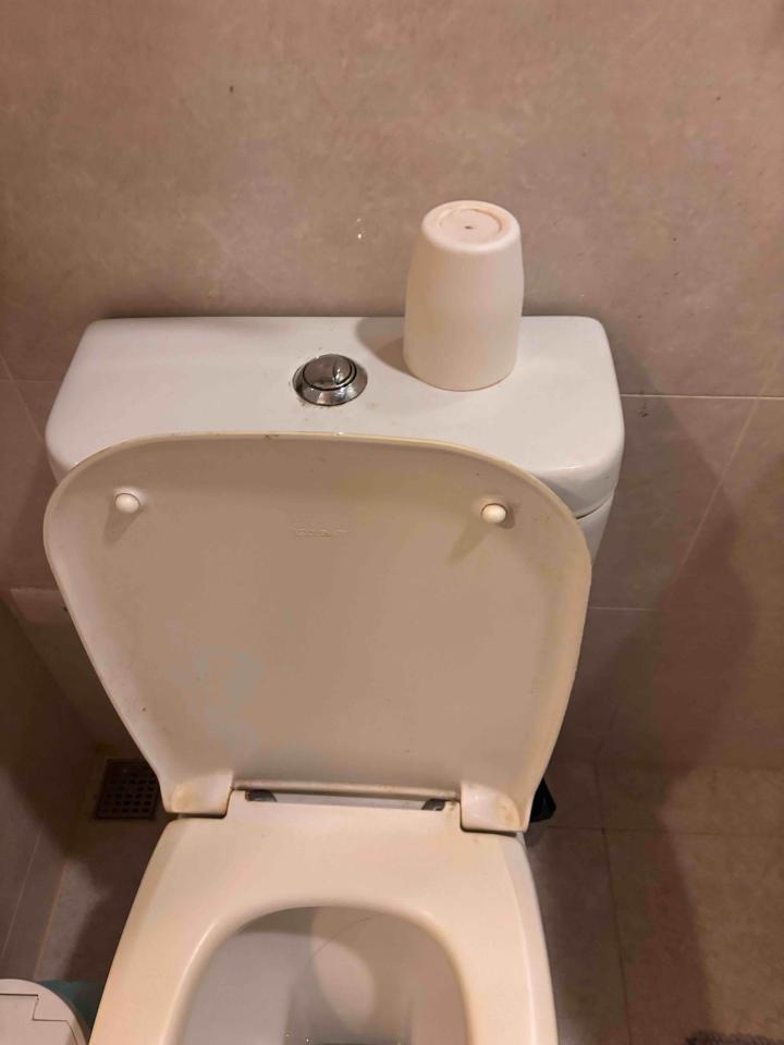 馬桶裝修案件圖片