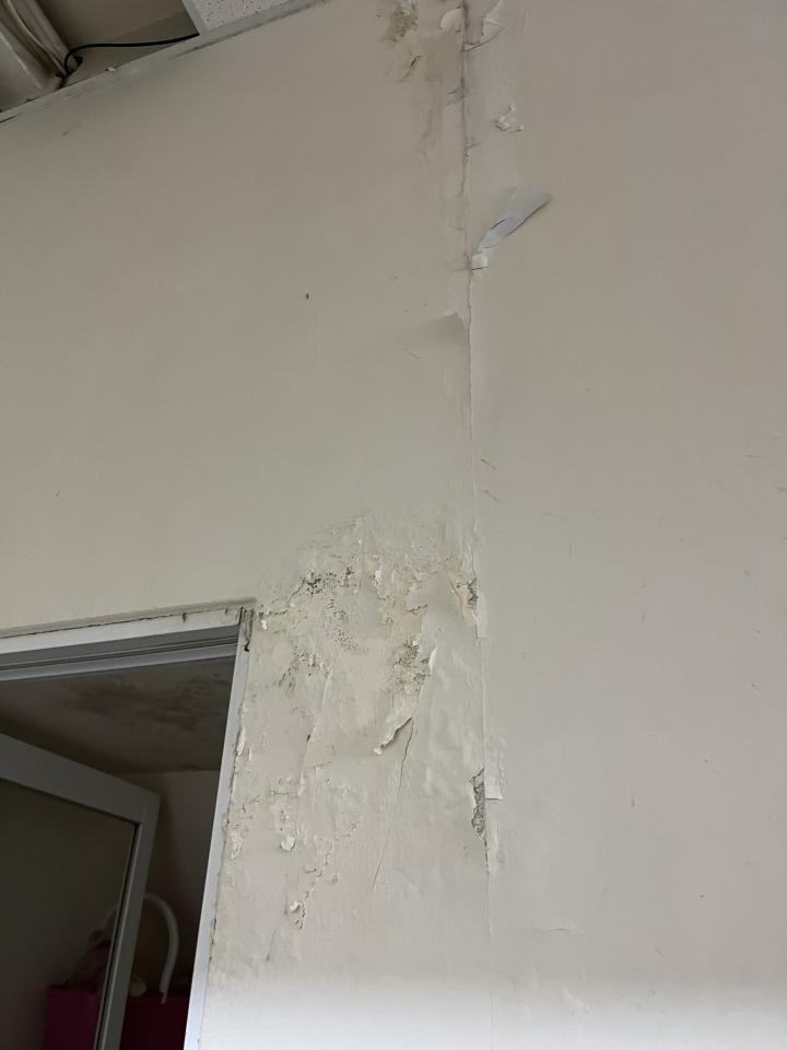 泥作/水泥施工案件圖片