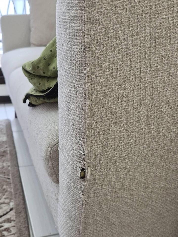 沙發修理案件圖片