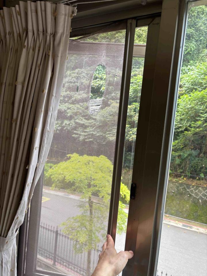 紗窗裝修案件圖片