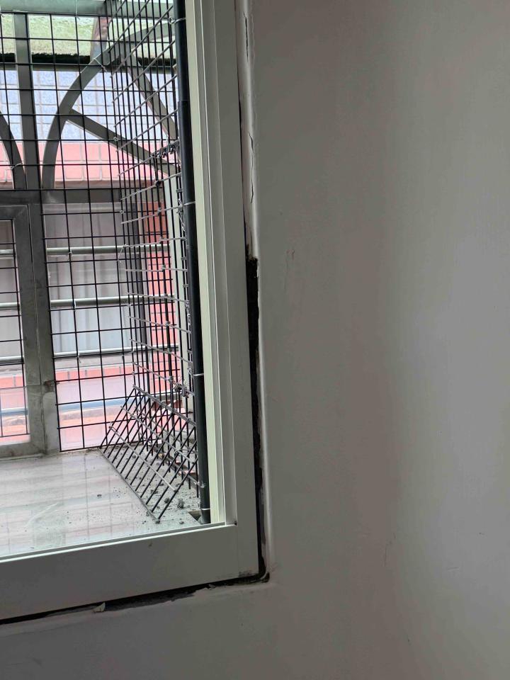 油漆工程案件圖片