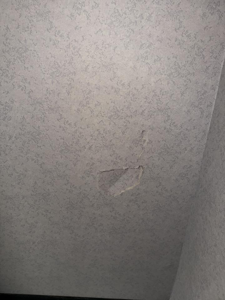 壁紙施工案件圖片